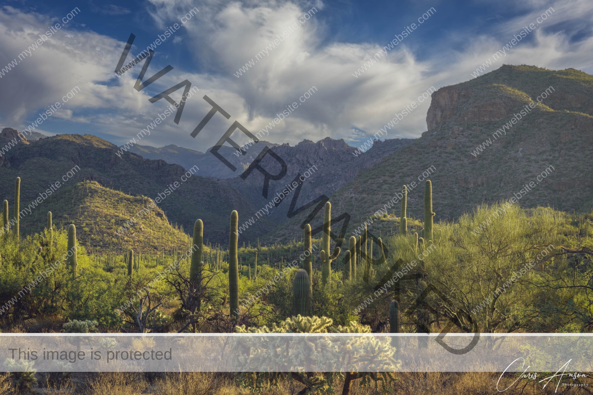 Sabino Canyon - Tucson Arizona